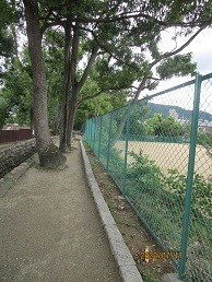 f:id:cangael:20200717152736j:plain f:id:cangael:20200717152736j:plain