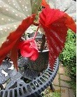 f:id:cangael:20200718111531j:image:left f:id:cangael:20200718111531j:image:left