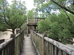 f:id:cangael:20200810093807j:image:right