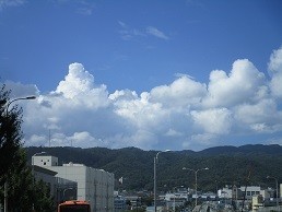 f:id:cangael:20200811144222j:plain