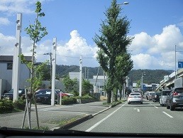 f:id:cangael:20200811144328j:plain