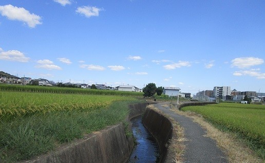 f:id:cangael:20200921133347j:plain f:id:cangael:20200921133347j:plain