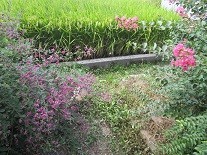 f:id:cangael:20200921134348j:image:left