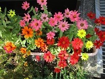 f:id:cangael:20201014113953j:plain f:id:cangael:20201014113953j:plain