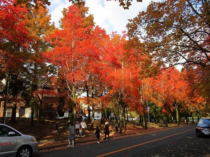 f:id:cangael:20201116140125j:plain