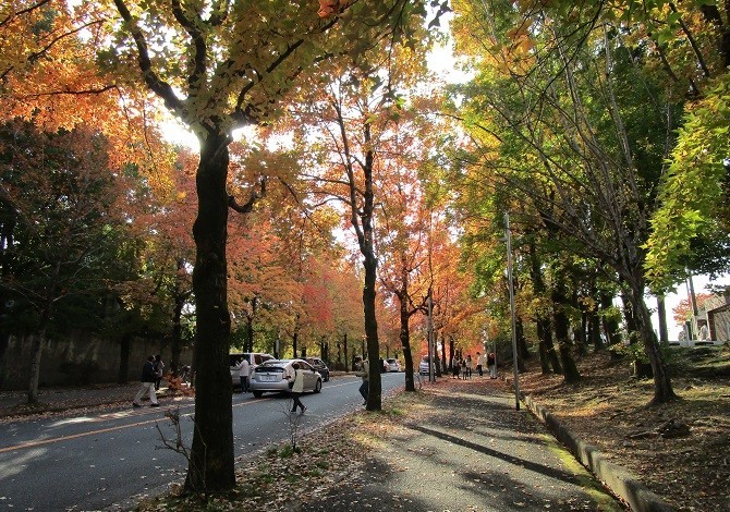 f:id:cangael:20201116140428j:plain