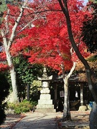 f:id:cangael:20201117135005j:plain