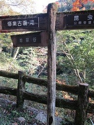 f:id:cangael:20201117142847j:plain
