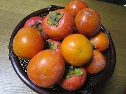 f:id:cangael:20201125160836j:image:left
