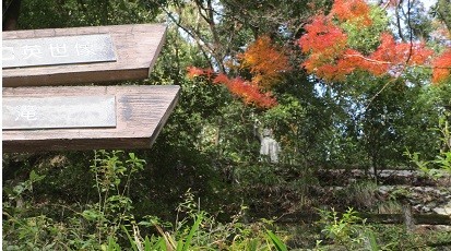 f:id:cangael:20201210130344j:plain