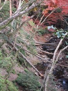 f:id:cangael:20201210131116j:plain