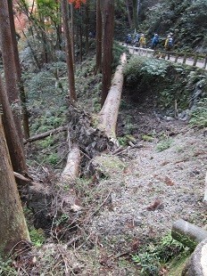 f:id:cangael:20201210131505j:plain