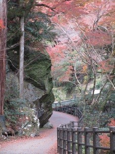 f:id:cangael:20201210131745j:plain