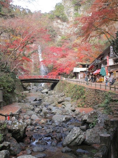 f:id:cangael:20201210132422j:plain