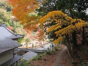 f:id:cangael:20201210142016j:plain