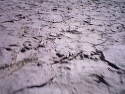 f:id:cangael:20210103143947j:plain