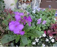 f:id:cangael:20210104111406j:image:left