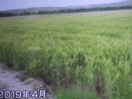 f:id:cangael:20210110145214j:plain