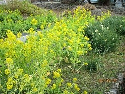 f:id:cangael:20210127121343j:plain