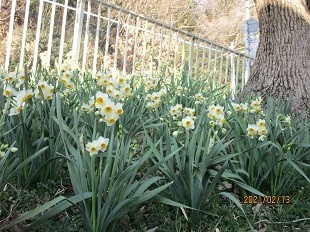 f:id:cangael:20210213151050j:plain