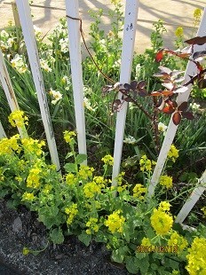 f:id:cangael:20210213151309j:plain