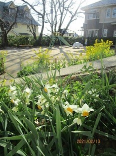 f:id:cangael:20210213151329j:plain