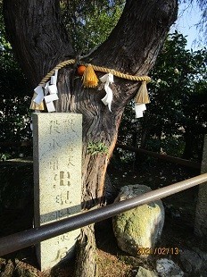 f:id:cangael:20210213152825j:plain