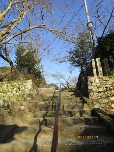 f:id:cangael:20210213153152j:plain