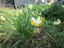 f:id:cangael:20210222135111j:plain