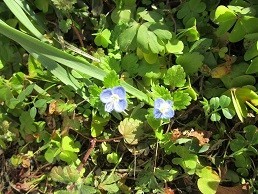 f:id:cangael:20210222135132j:plain