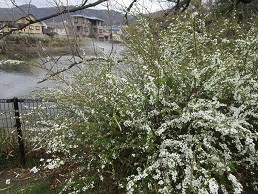 f:id:cangael:20210306141143j:plain