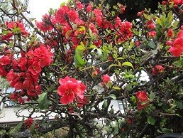 f:id:cangael:20210309101755j:plain