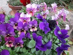 f:id:cangael:20210312090522j:plain