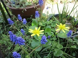 f:id:cangael:20210327113917j:plain