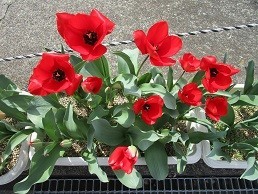 f:id:cangael:20210327135058j:plain