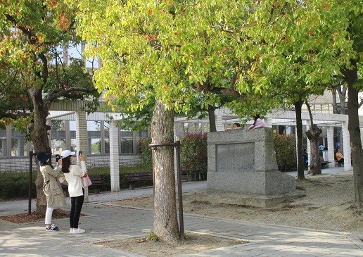 f:id:cangael:20210329151019j:plain