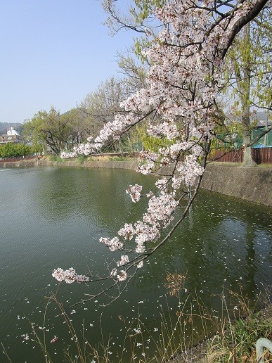 f:id:cangael:20210329151401j:plain