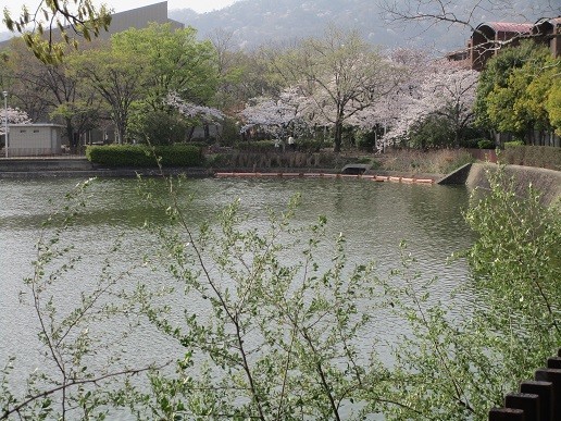 f:id:cangael:20210329151631j:plain