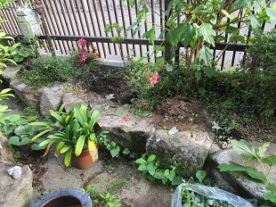 f:id:cangael:20210607063115j:plain