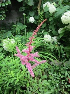 f:id:cangael:20210614112658j:plain