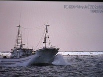 f:id:cangael:20210809163054j:image:right