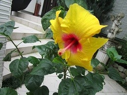 f:id:cangael:20210820112350j:image:right