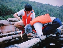 f:id:cangael:20210909110719j:plain