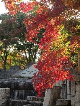 f:id:cangael:20211030145502j:plain