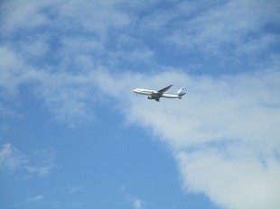 f:id:cangael:20211104134105j:plain