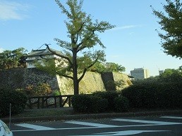 f:id:cangael:20211104145542j:plain