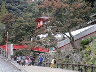 f:id:cangael:20211106154556j:plain