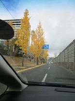 f:id:cangael:20211205112133j:image:left