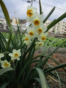 f:id:cangael:20220117145006j:plain