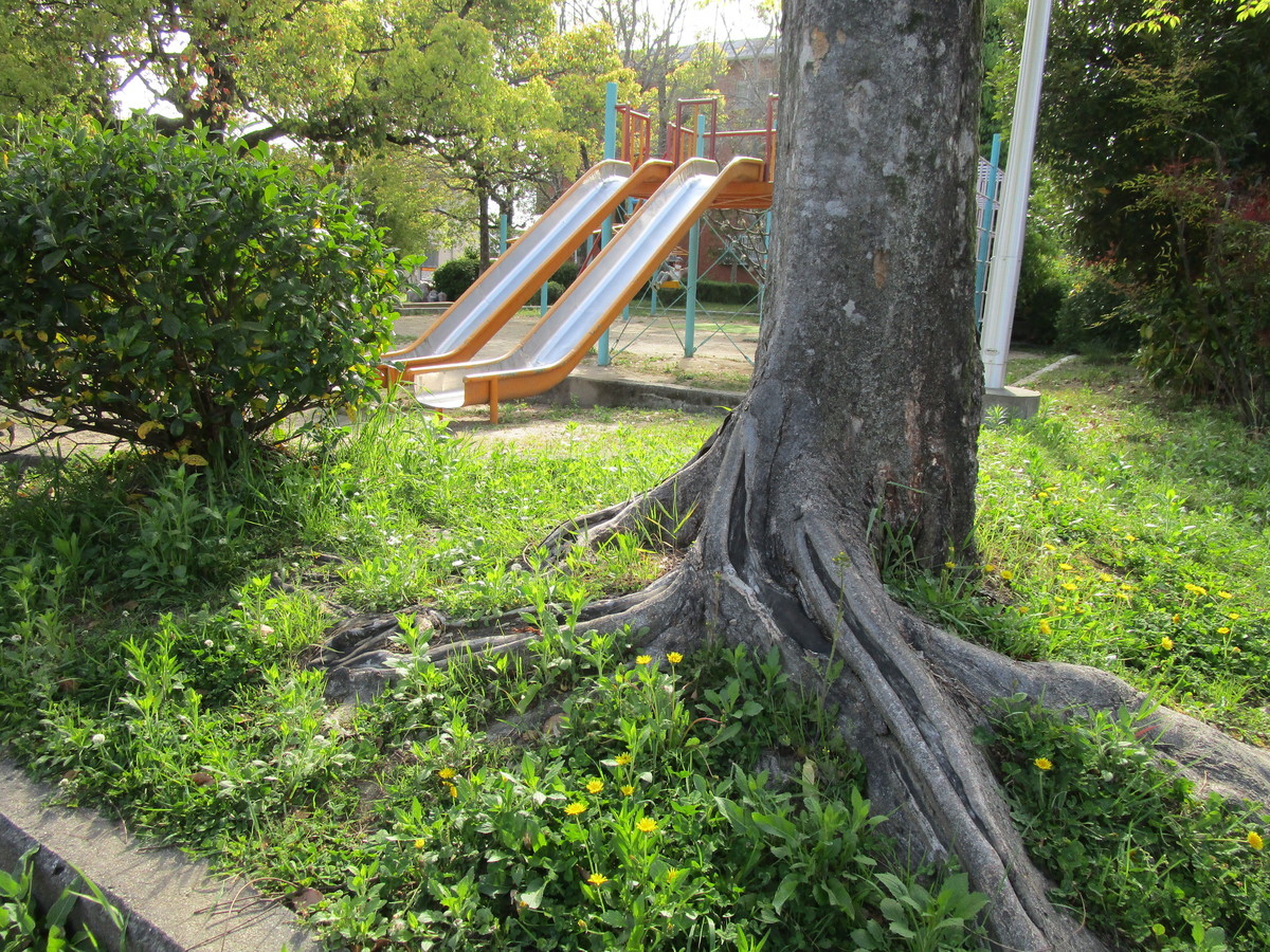 f:id:cangael:20220417151604j:plain